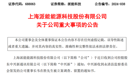 派能科技董事长，被立案调查、留置  第2张