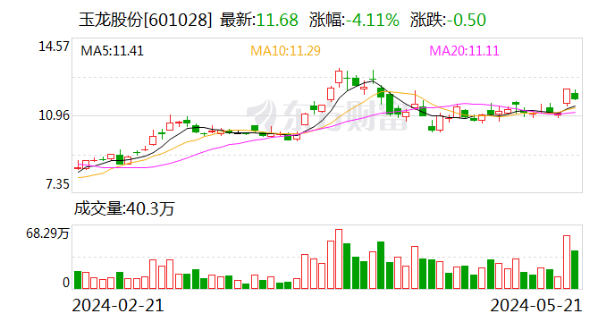 济南高新区打造上市公司投资管理平台 玉龙股份控股股东变更为济高资本  第1张