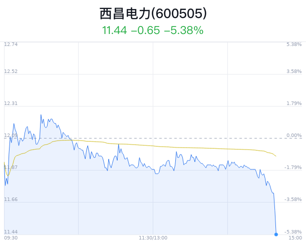 西昌电力大跌5.38% 主力净流出4055万元  第1张