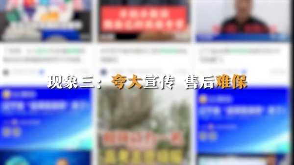 制造焦虑、收费畸高…高考志愿填报成“唐僧肉”？