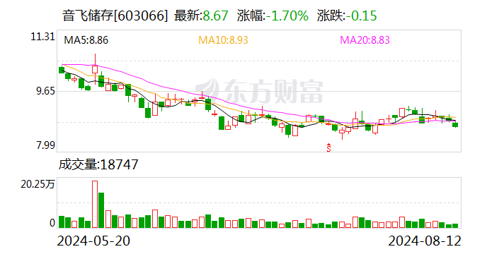 音飞储存：8月12日召开董事会会议