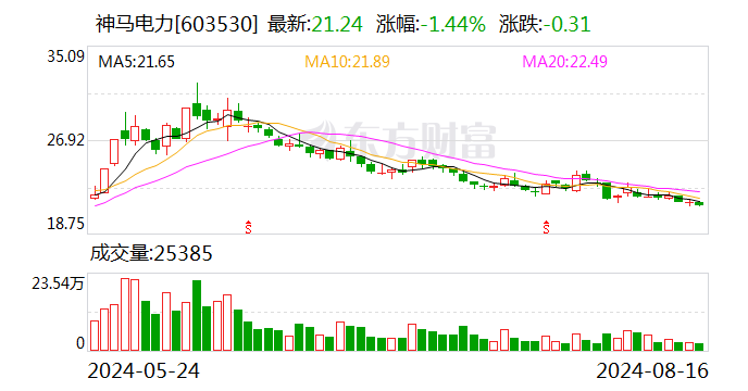 神马电力：变更会计师事务所为安永华明